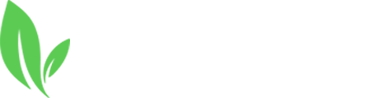 RNS Group Logo
