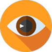 Vision Icon